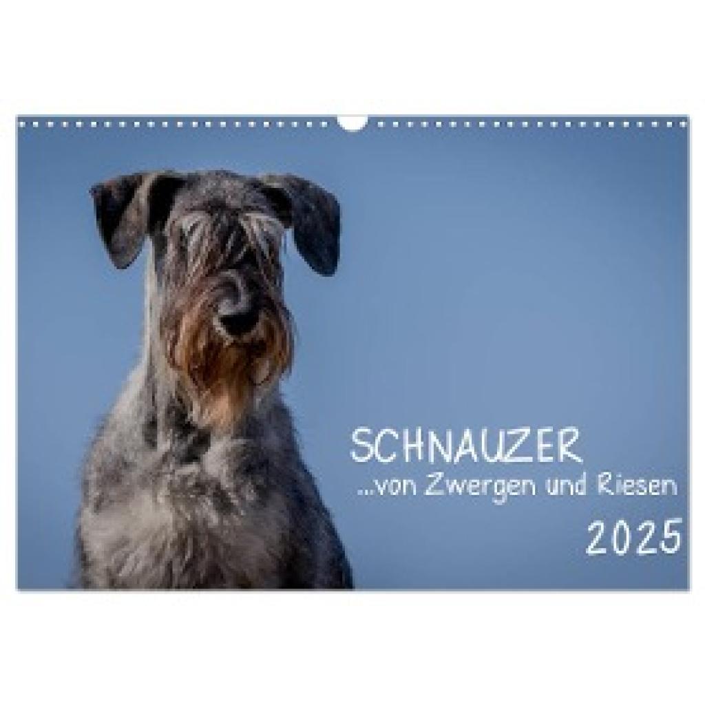 Janz, Michael: Schnauzer... von Zwergen und Riesen 2025 (Wandkalender 2025 DIN A3 quer), CALVENDO Monatskalender