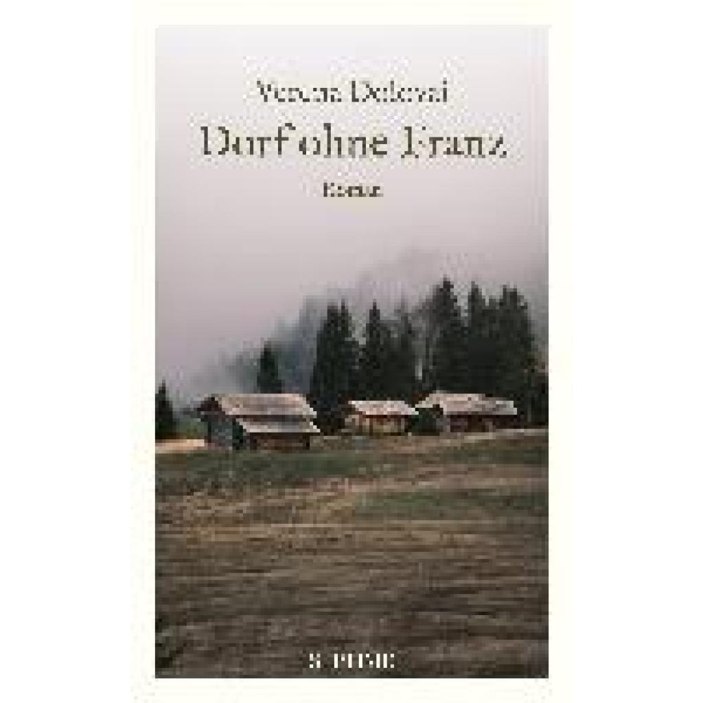 9783991200352 - Dorf ohne Franz - Verena Dolovai Gebunden