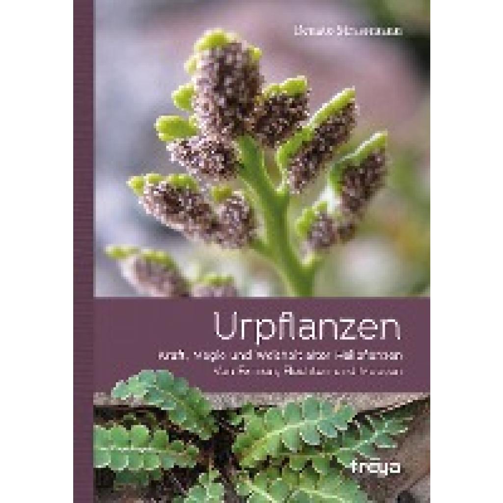 9783990250914 - Urpflanzen - Renato Strassmann Gebunden