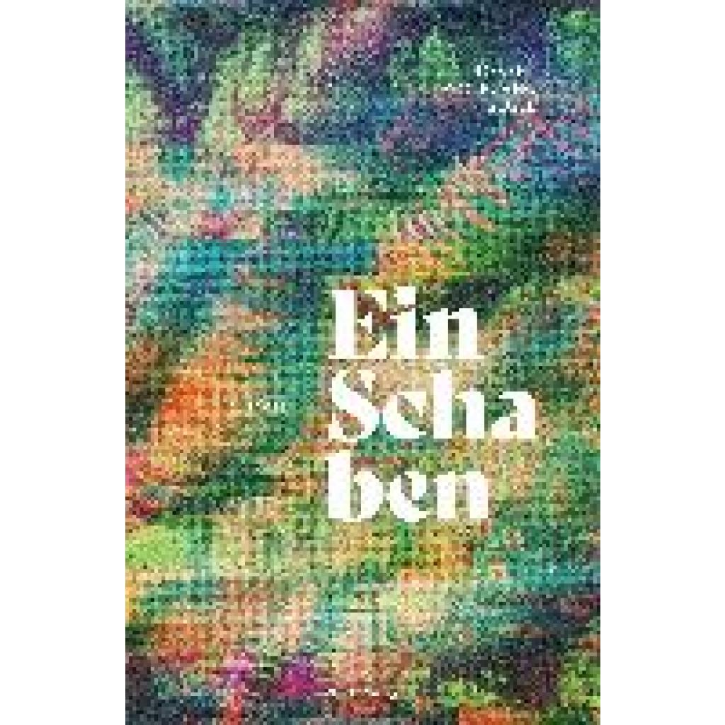 9783944716640 - Ein Schaben - Robert Wolfgang Segel Gebunden