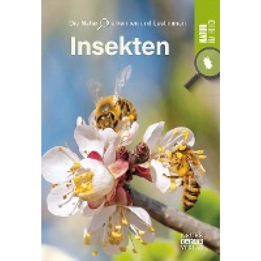 9783846805053 - Natur im Blick Insekten Kartoniert (TB) 9783846805053 - Natur im Blick Insekten Kartoniert (TB)