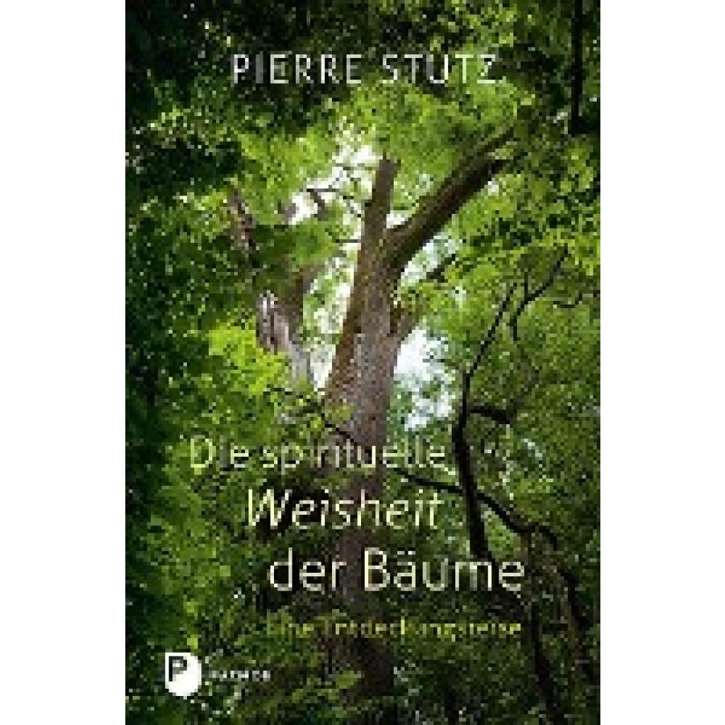 9783843608756 - Die spirituelle Weisheit der Bäume - Pierre Stutz Gebunden