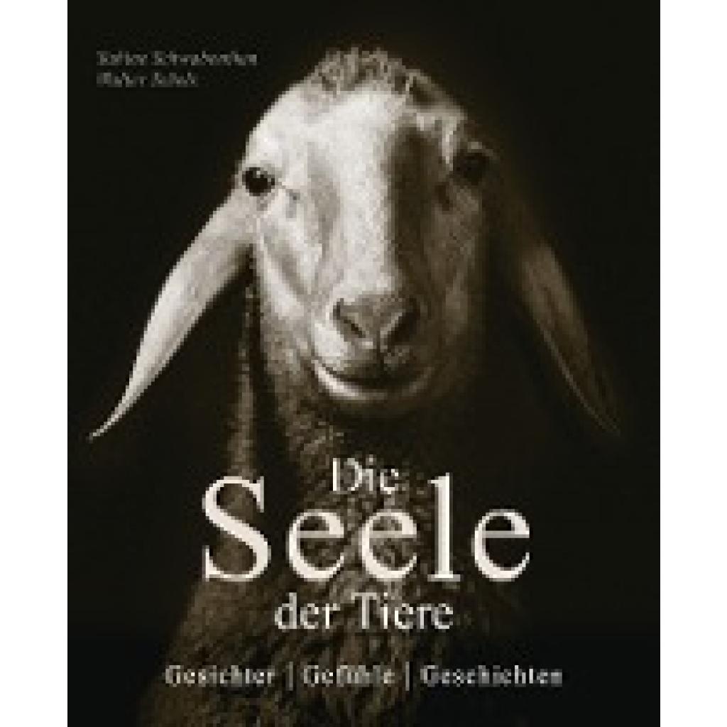 9783809448006 - Die Seele der Tiere Gesichter Gefühle Geschichten - Sabine Remy-Schwabenthan Gebunden