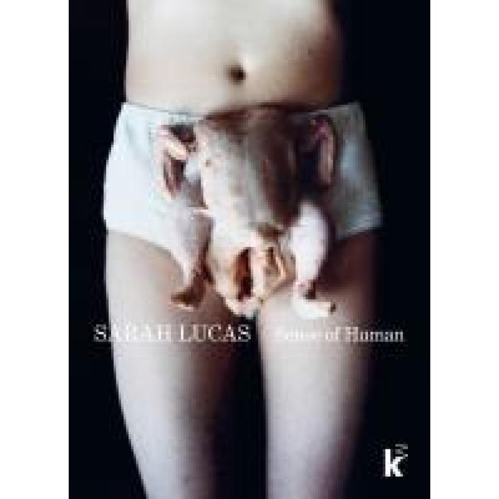 Sarah Lucas. Sense of Human