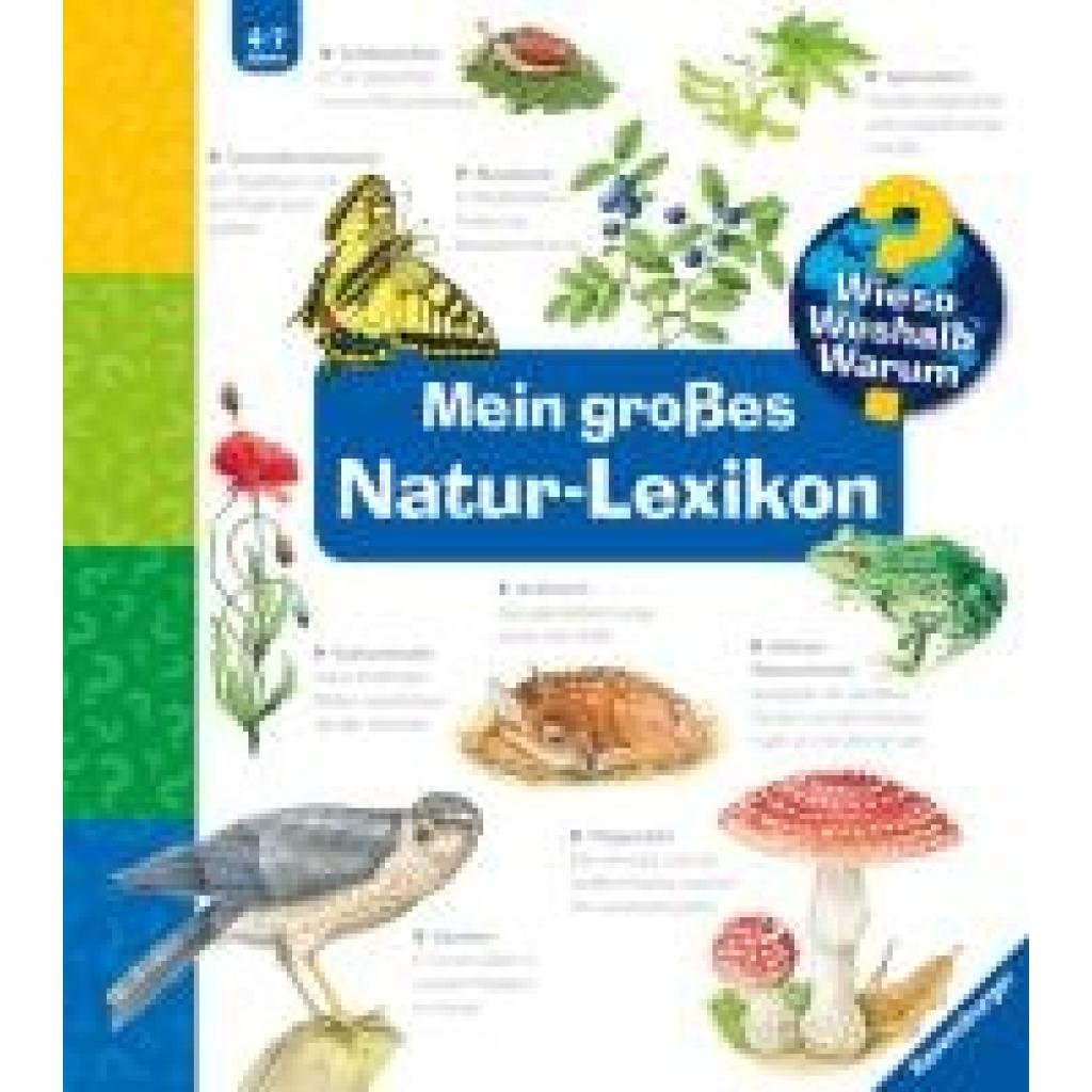 9783473329892 - Wieso? Weshalb? Warum? Sonderband   Wieso? Weshalb? Warum? Mein großes Natur-Lexikon - Sandra Noa Pappband