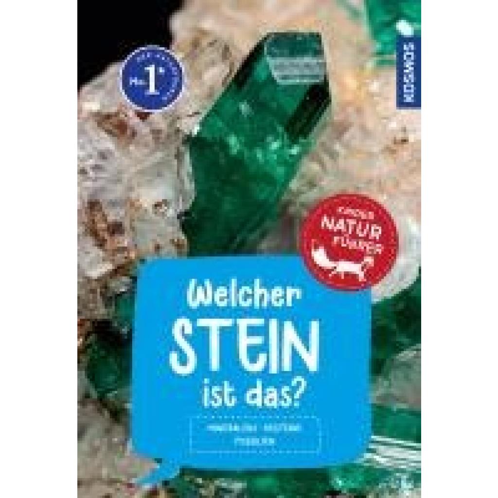 9783440175767 - Kindernaturführer   Welcher Stein ist das? Kindernaturführer - Rupert Hochleitner Kartoniert (TB)