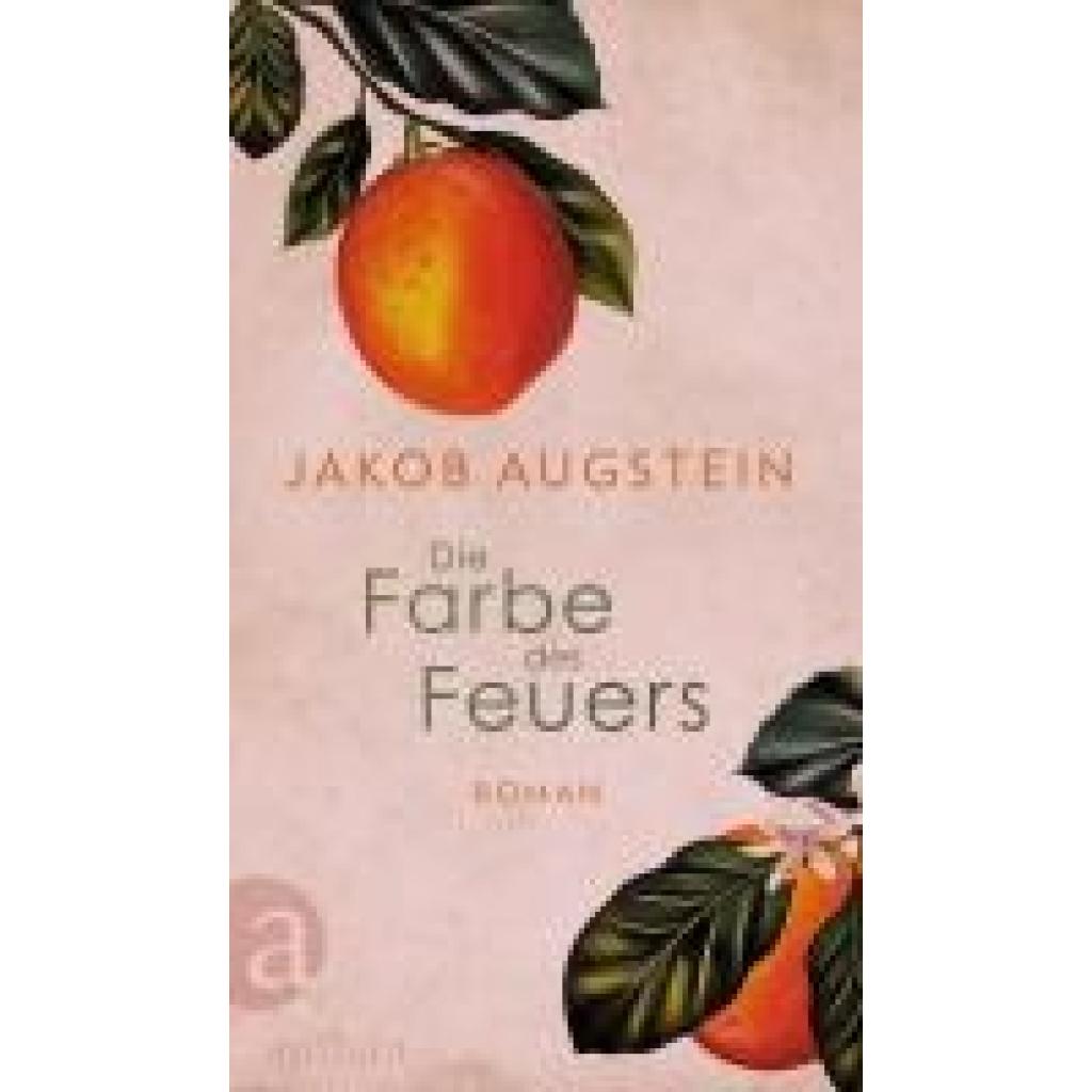 9783351042233 - Die Farbe des Feuers - Jakob Augstein Gebunden