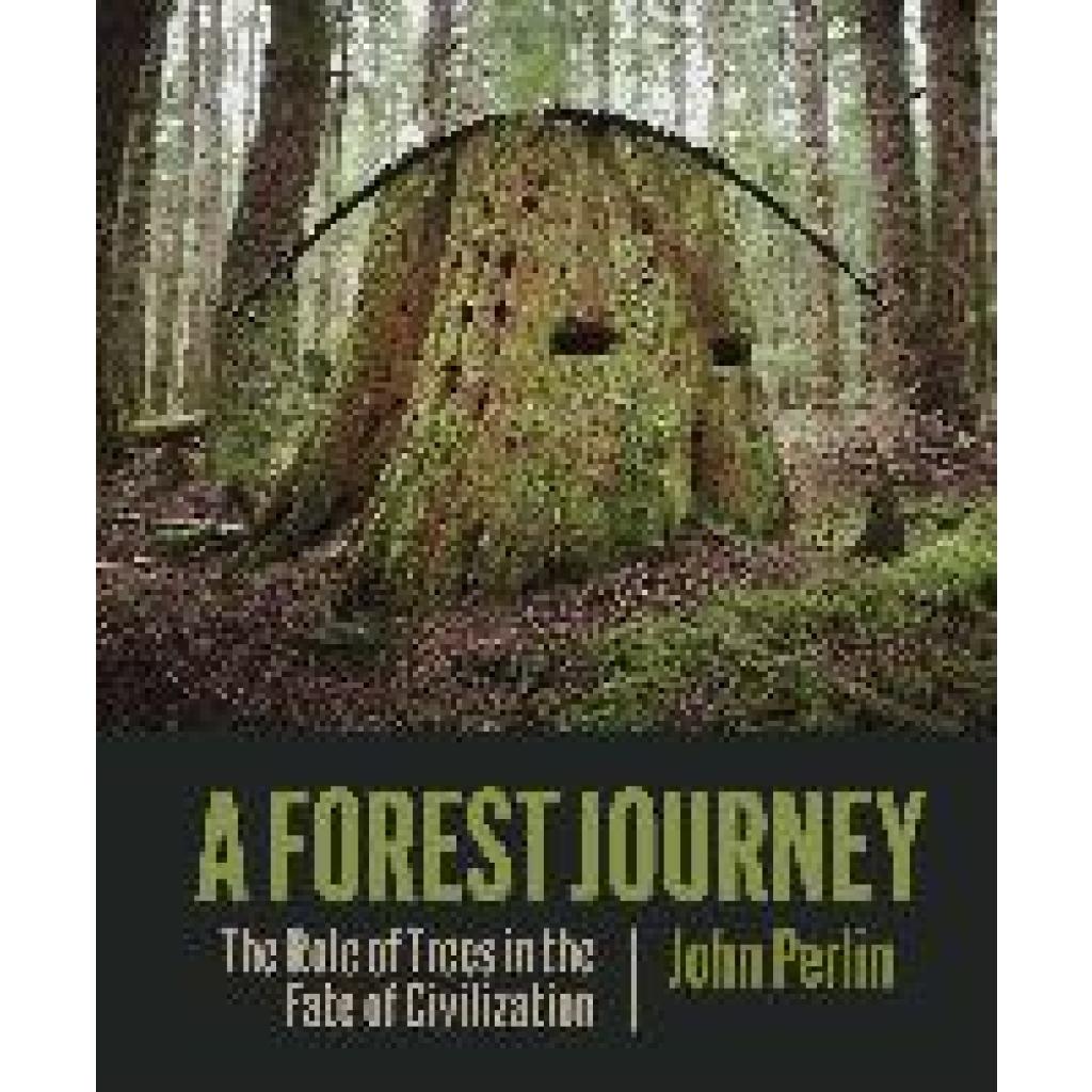 9781938340970 - A Forest Journey - John Perlin Gebunden