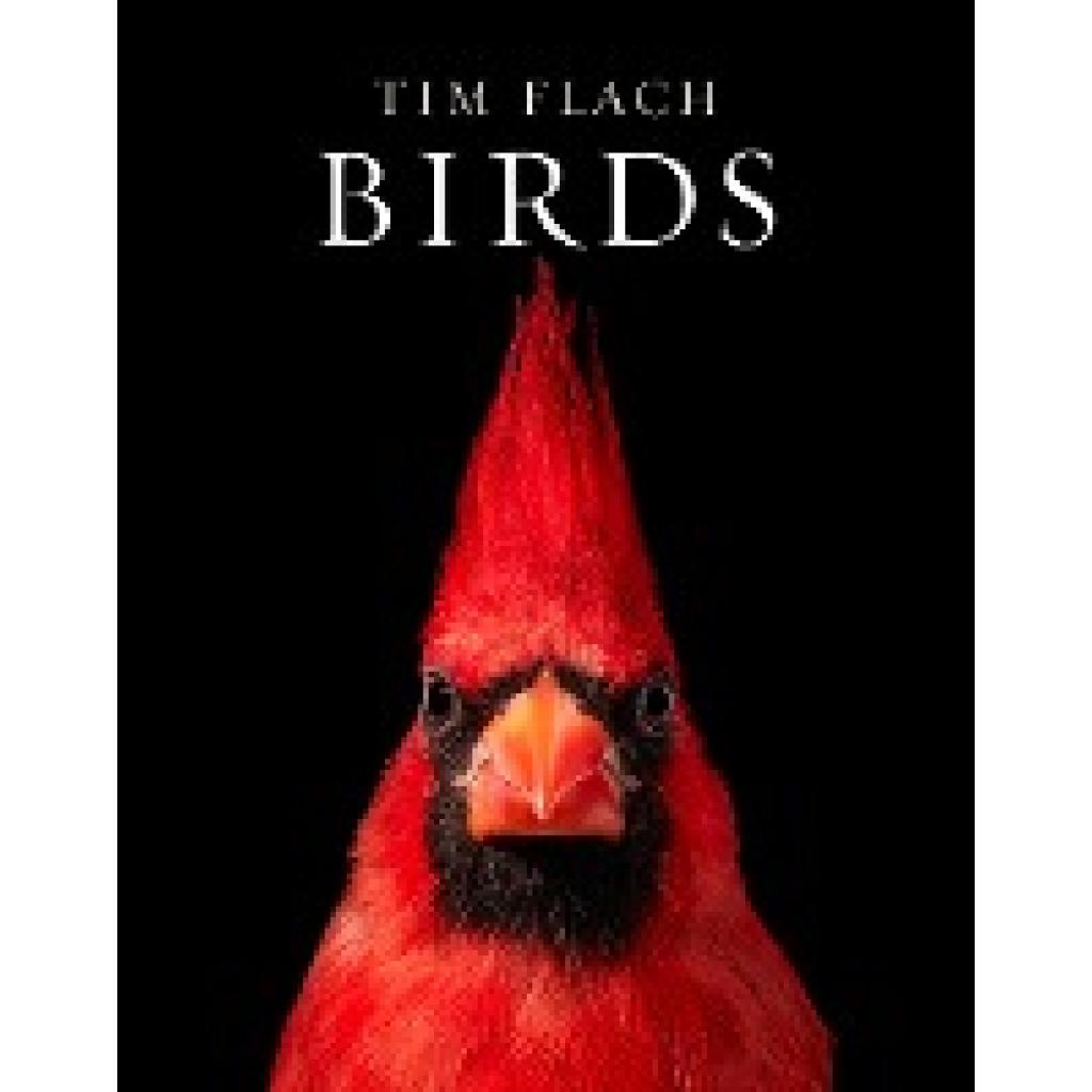 Flach, Tim: Birds