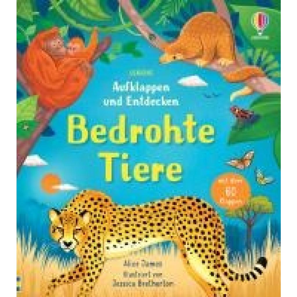 9781035701353 - Aufklappen und Entdecken Bedrohte Tiere - Alice James Gebunden 9781035701353 - Aufklappen und Entdecken Bedrohte Tiere - Alice James Gebunden