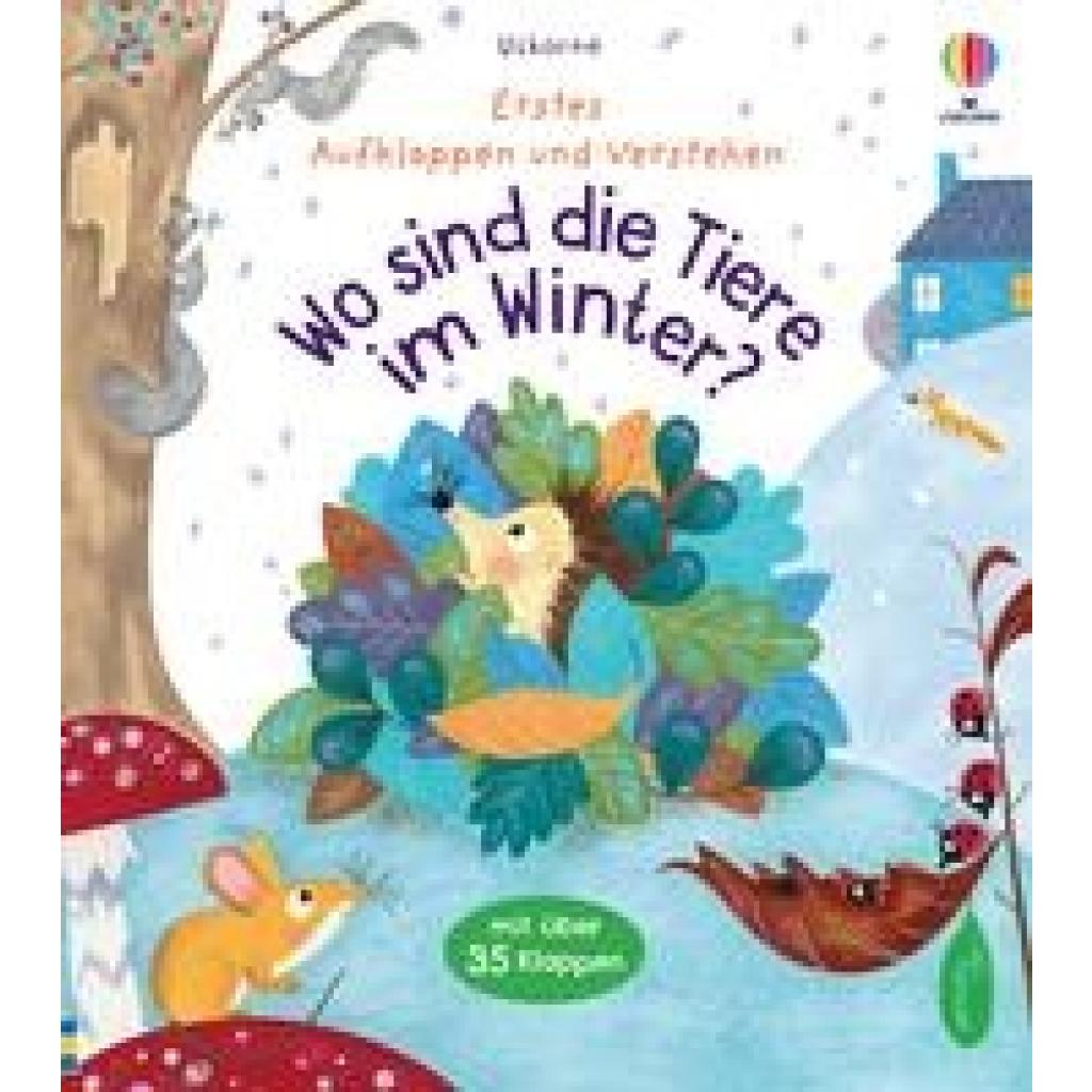 9781035700356 - Erstes Aufklappen und Verstehen Wo sind die Tiere im Winter? - Katie Daynes Gebunden