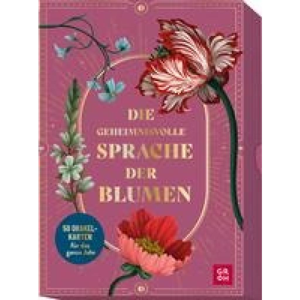 Die geheimnisvolle Sprache der Blumen - 50 Orakelkarten für das ganze Jahr