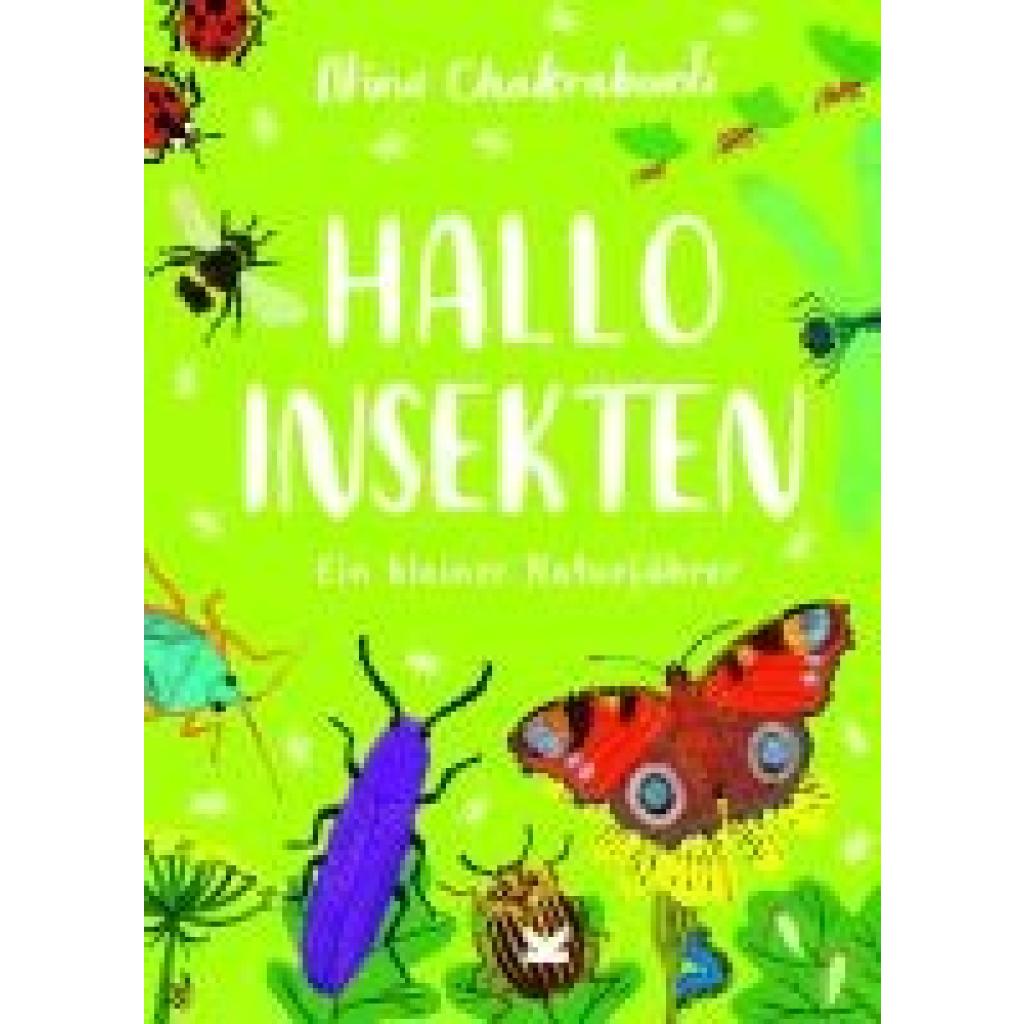 9783962442927 - Hallo Insekten - Nina Chakrabarti Gebunden