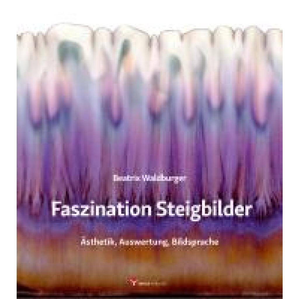 Waldburger, Beatrix: Faszination Steigbilder