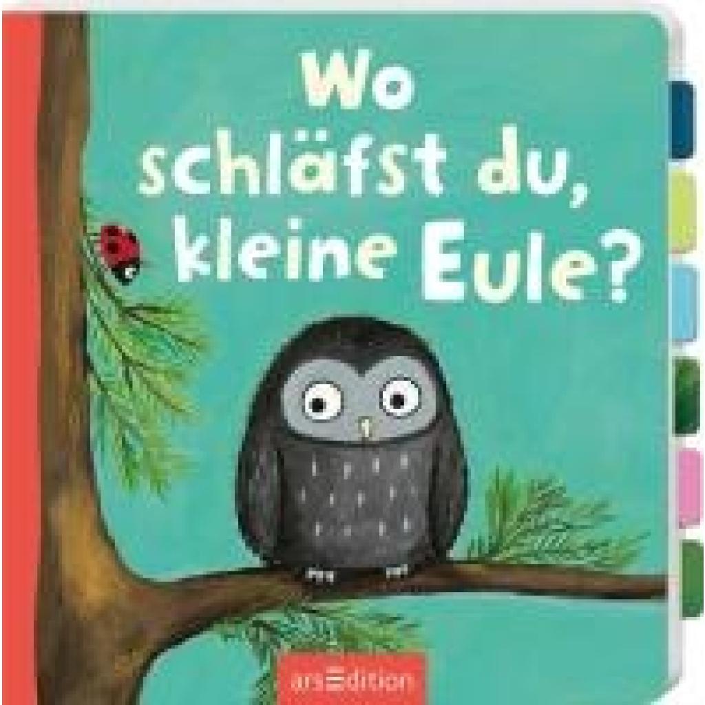 9783845857664 - Wo schläfst du kleine Eule? Pappband