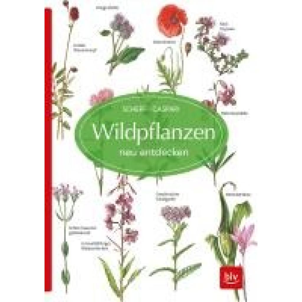 9783835418172 - Wildpflanzen neu entdecken - Gertrud Scherf Claus Caspari Kartoniert (TB)