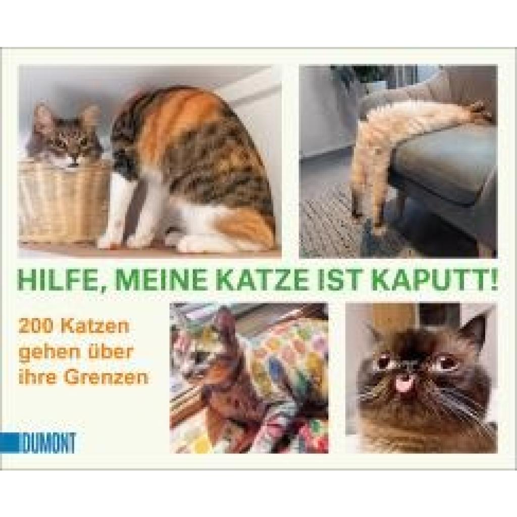 9783832169350 - Hilfe meine Katze ist kaputt Kartoniert (TB)