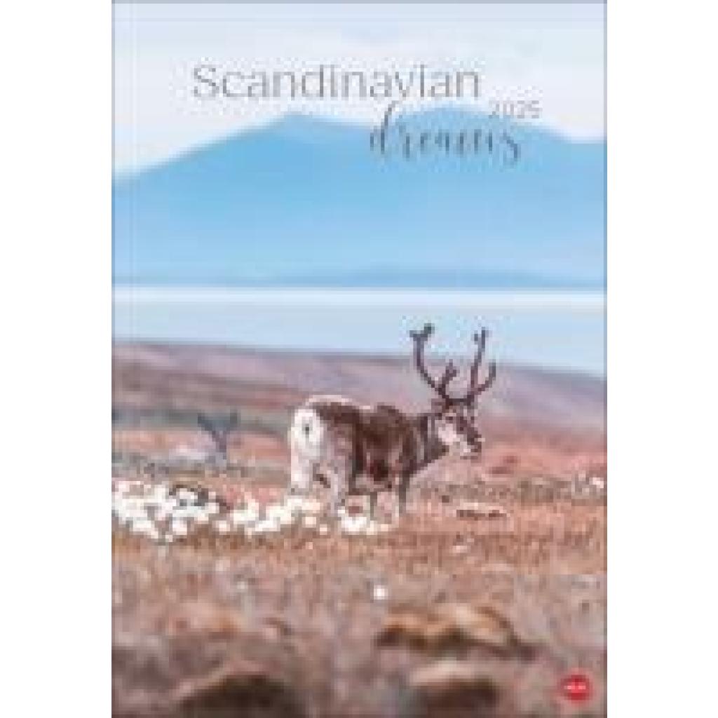 Scandinavian Dreams Posterkalender 2025