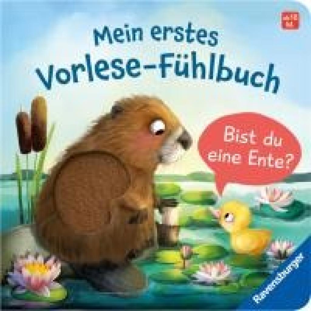9783473418732 - Orso Kathrin Lena Mein erstes Vorlese-Fühlbuch - Bist du eine Ente?