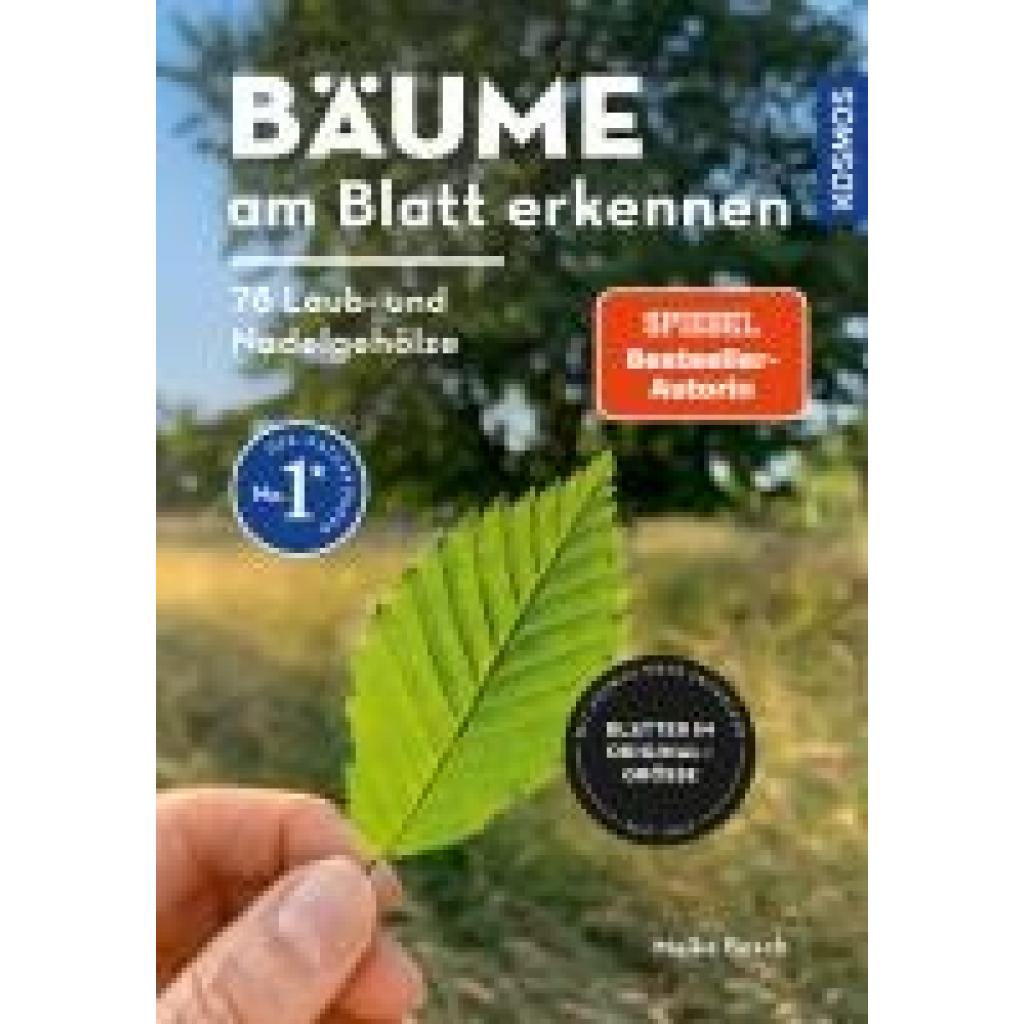 9783440179802 - Bäume am Blatt erkennen - 78 Laub- und Nadelgehölze Blätter in Originalgröße - Meike Bosch Kartoniert (TB)