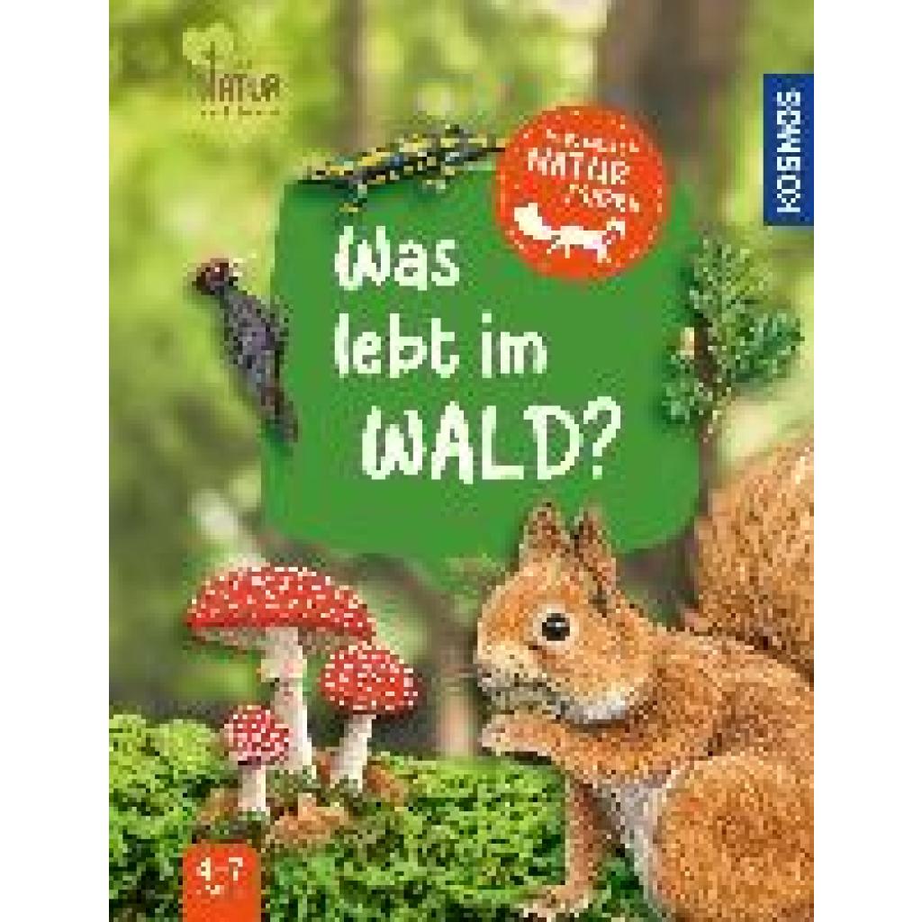 9783440178072 - Mein erster Naturführer Was lebt im Wald? - Julia Hiller Gebunden 9783440178072 - Mein erster Naturführer Was lebt im Wald? - Julia Hiller Gebunden