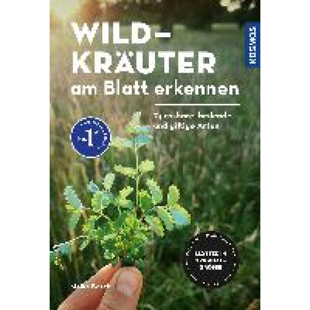 9783440173855 - Wildkräuter am Blatt erkennen - Meike Bosch Kartoniert (TB)