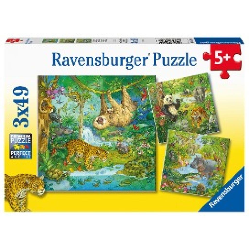 Ravensburger Kinderpuzzle 05180 - Im Urwald - 3x49 Teile Puzzle für Kinder ab 5 Jahren