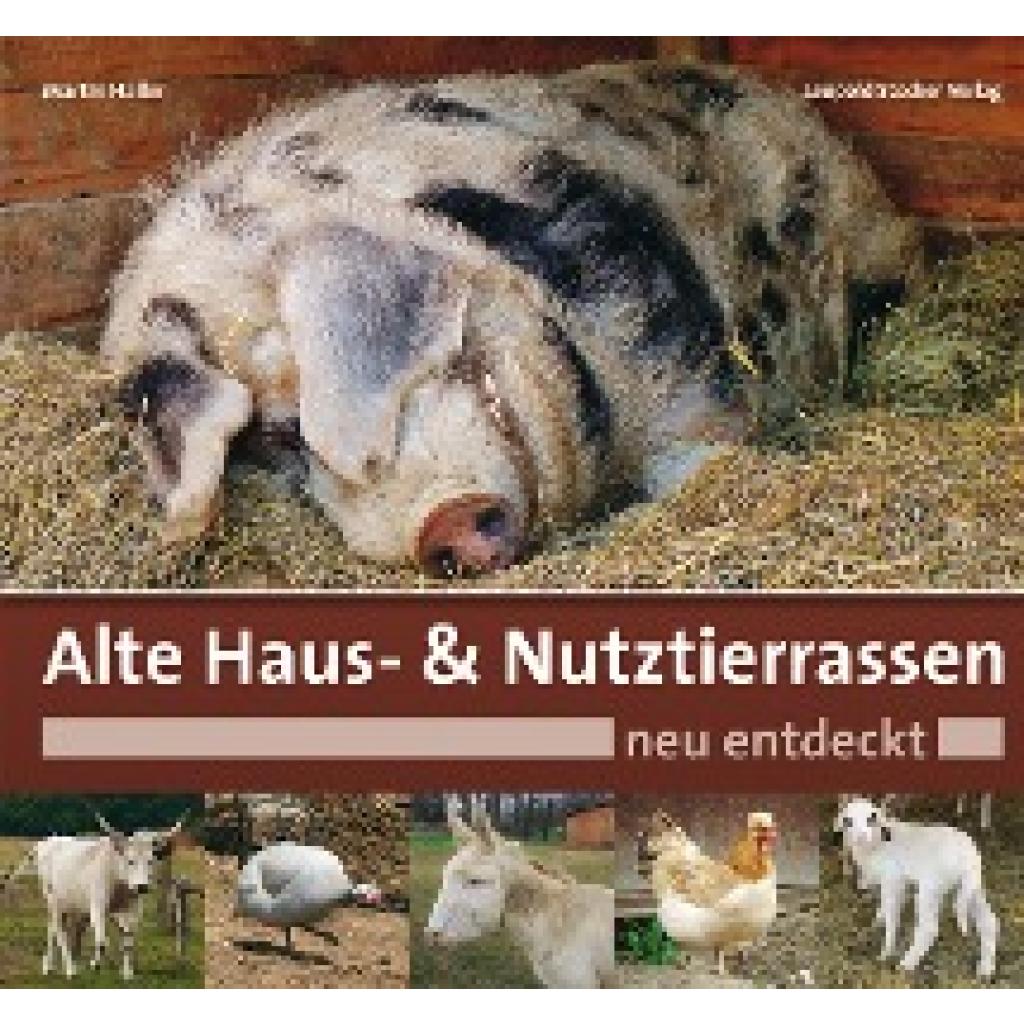 Haller, Martin: Alte Haus- & Nutztierrassen neu entdeckt