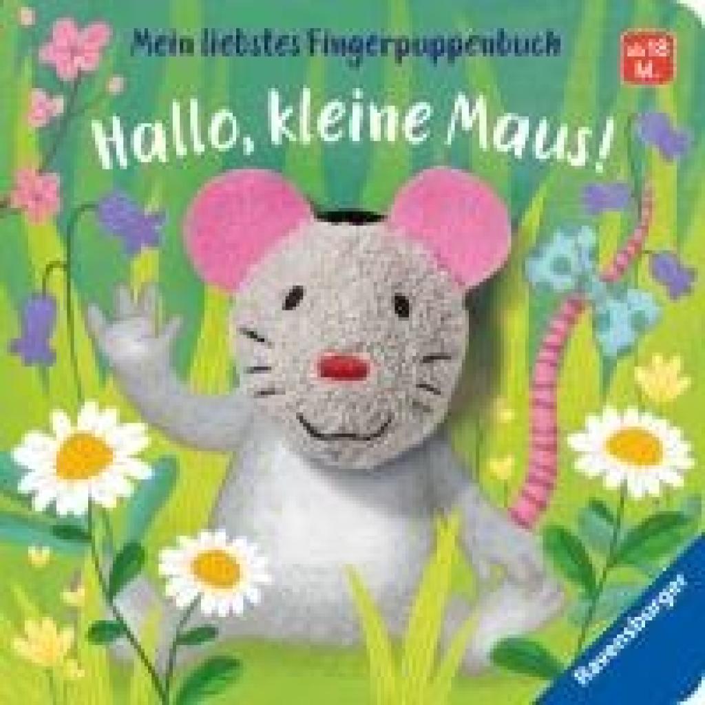 9783473438068 - Bernd Penners - GEBRAUCHT Mein liebstes Fingerpuppenbuch Hallo kleine Maus! - Preis vom 02072023 051058 h