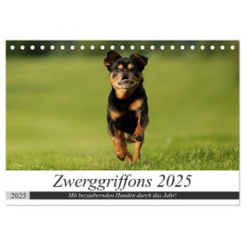 Witt - Schomber, Angelika: Zwerggriffons 2025 (Tischkalender 2025 DIN A5 quer), CALVENDO Monatskalender