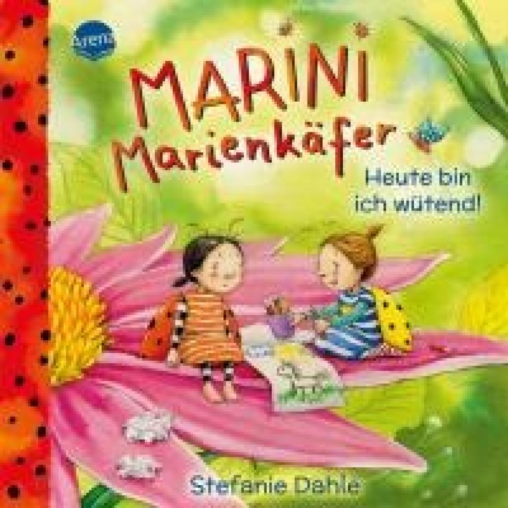 9783401721002 - Marini Marienkäfer Heute bin ich wütend! - Stefanie Dahle Pappband