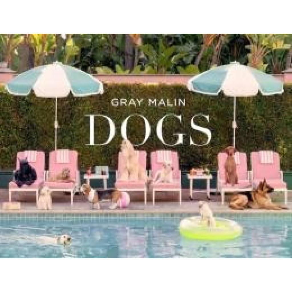 9781419769238 - Malin Gray Gray Malin Dogs