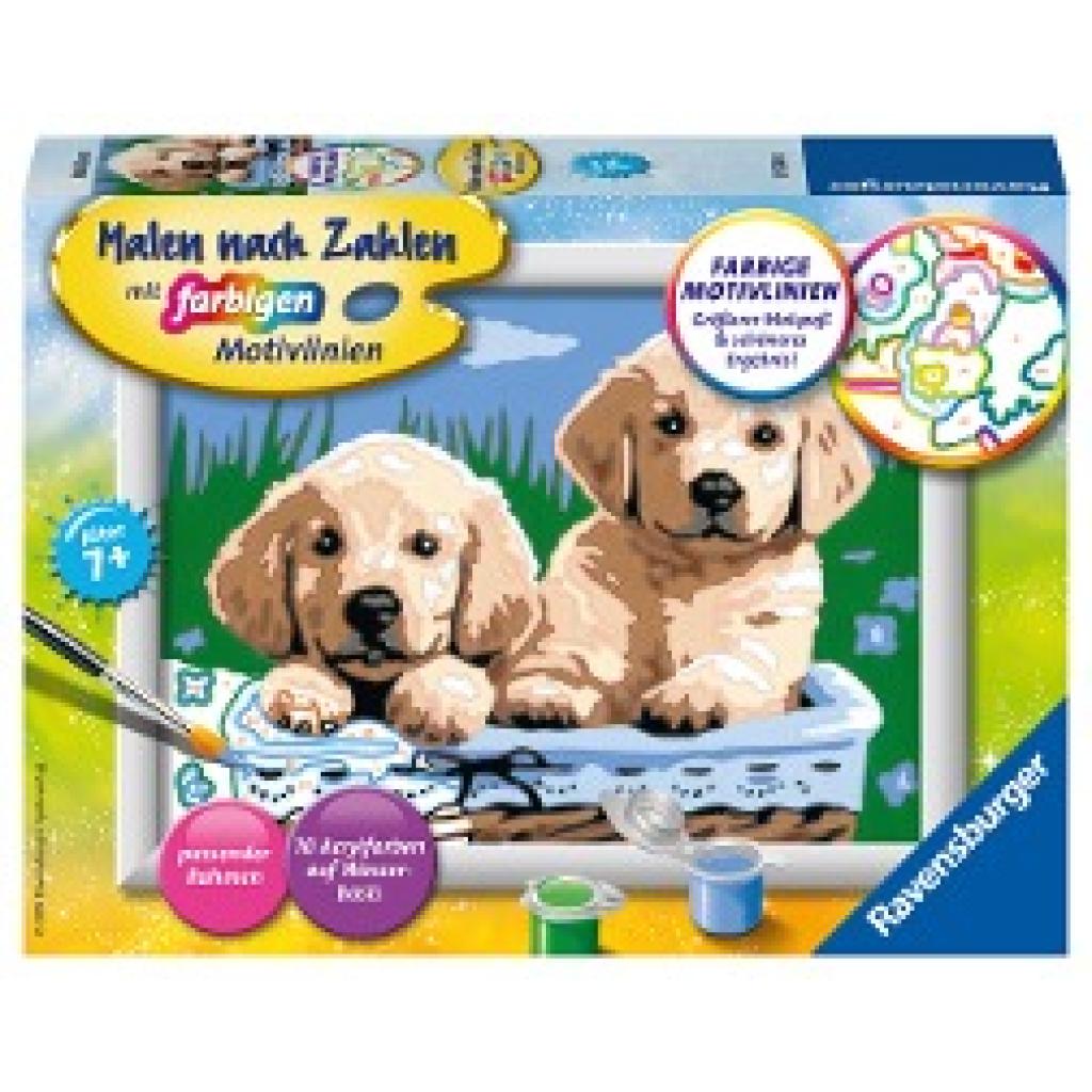 Süße Hundewelpen Malen nach Zahlen Serie E