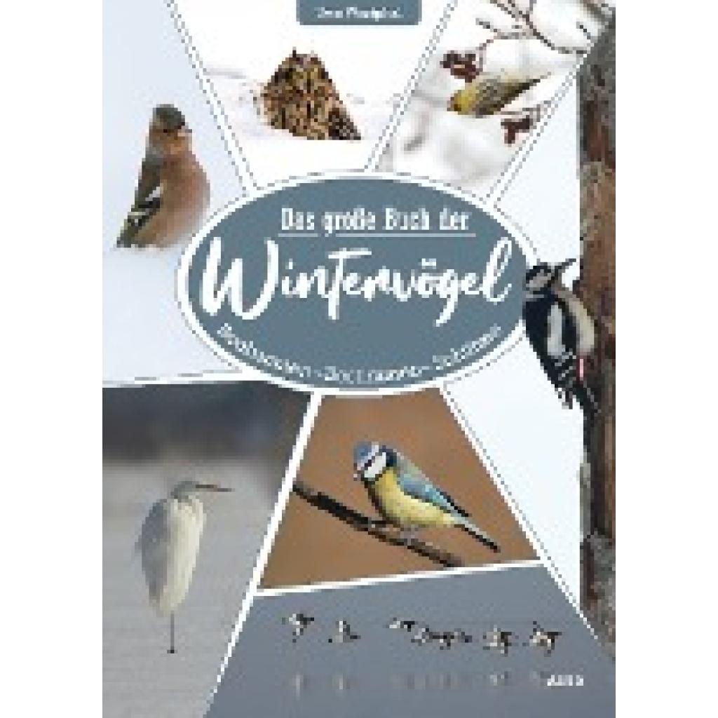 9783891048405 - Das große Buch der Wintervögel - Uwe Westphal Gebunden