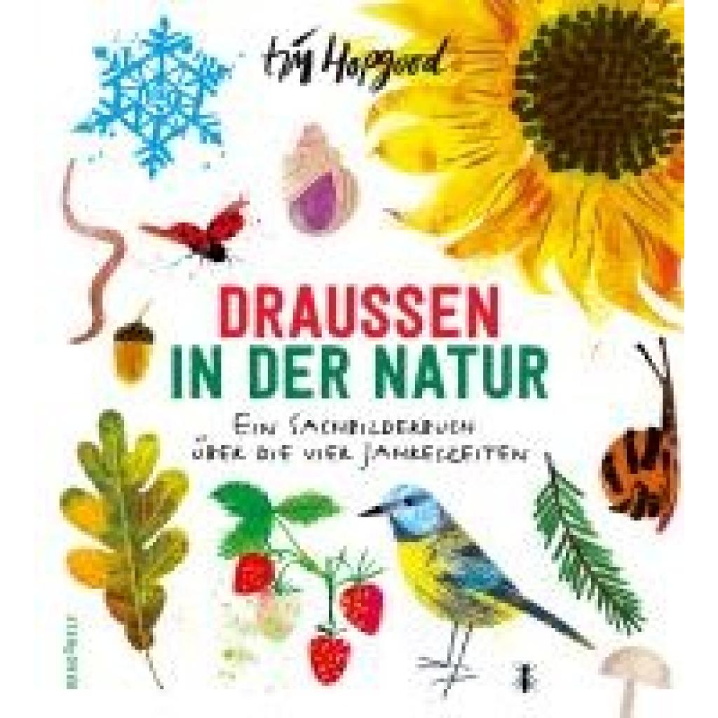 9783748802563 - Draußen in der Natur Ein Sachbilderbuch über die vier Jahreszeiten - Tim Hopgood Gebunden