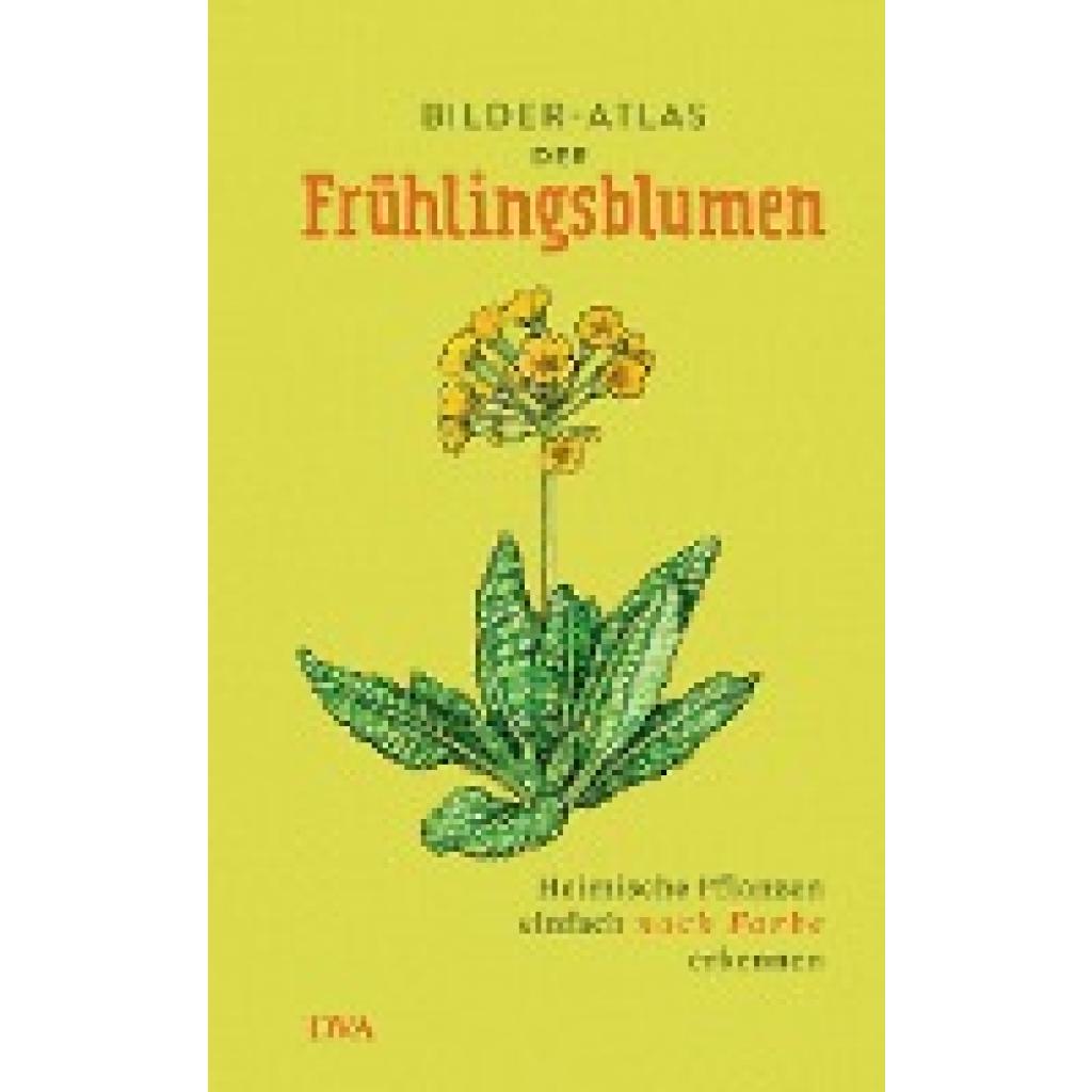 Bilder-Atlas der Frühlingsblumen