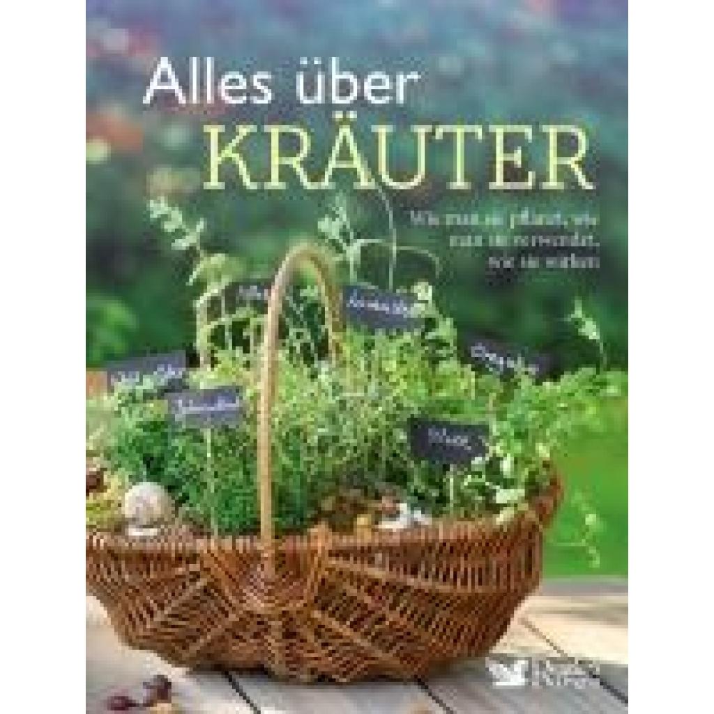 9783962110345 - Alles über Kräuter Kartoniert (TB)