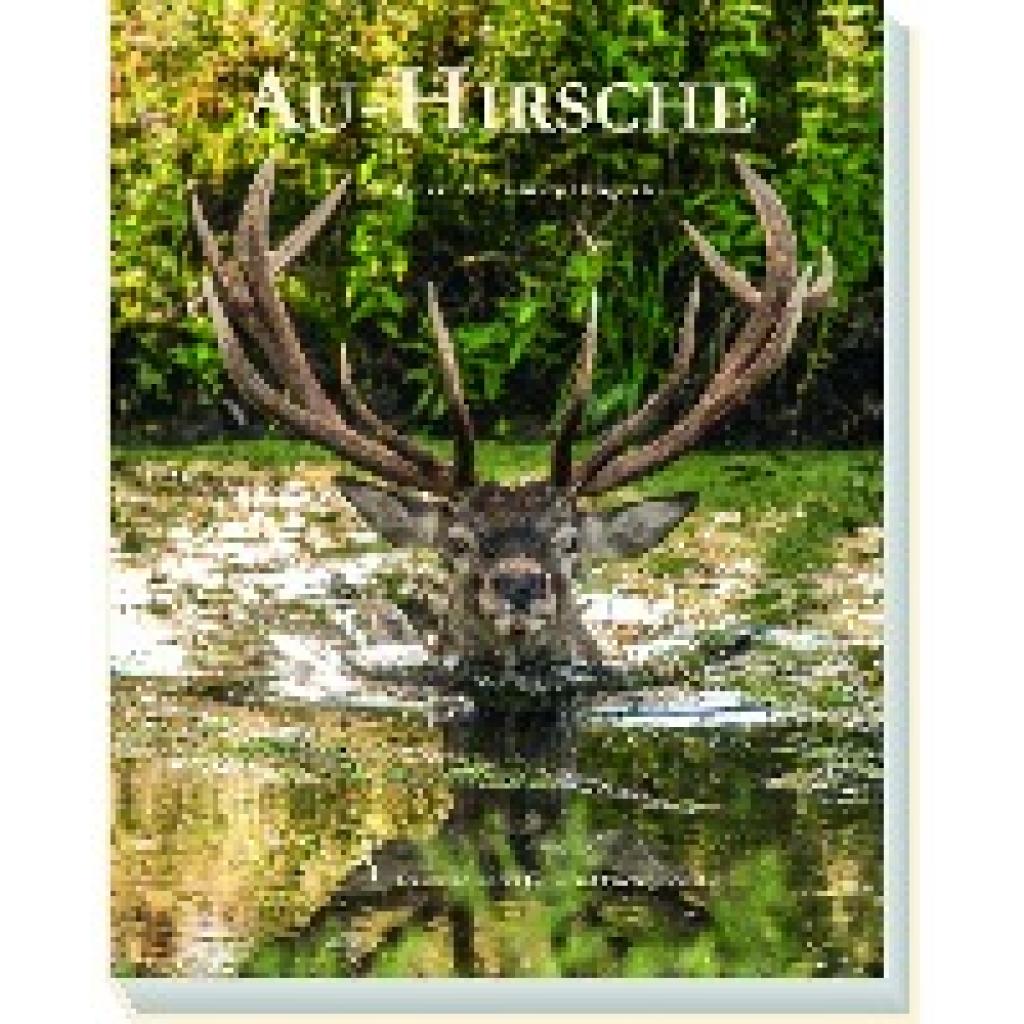 Pap, Jaroslav: Au-Hirsche