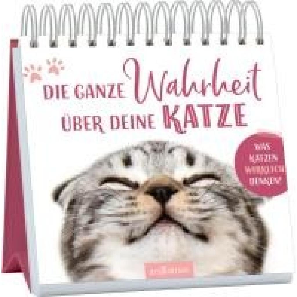 Die ganze Wahrheit über deine Katze