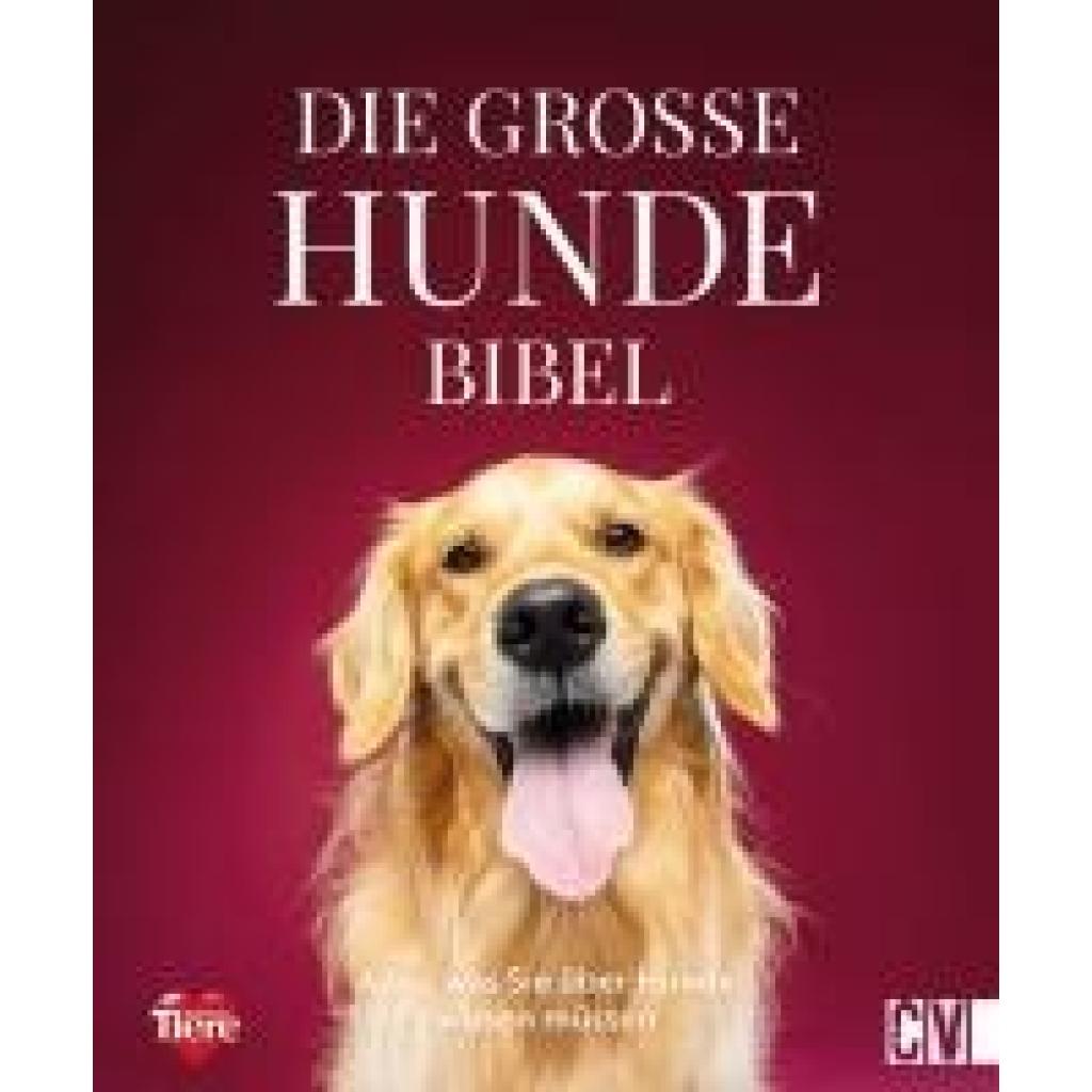 9783838839141 - Die große Hundebibel - Stefan Lara Torres Gebunden