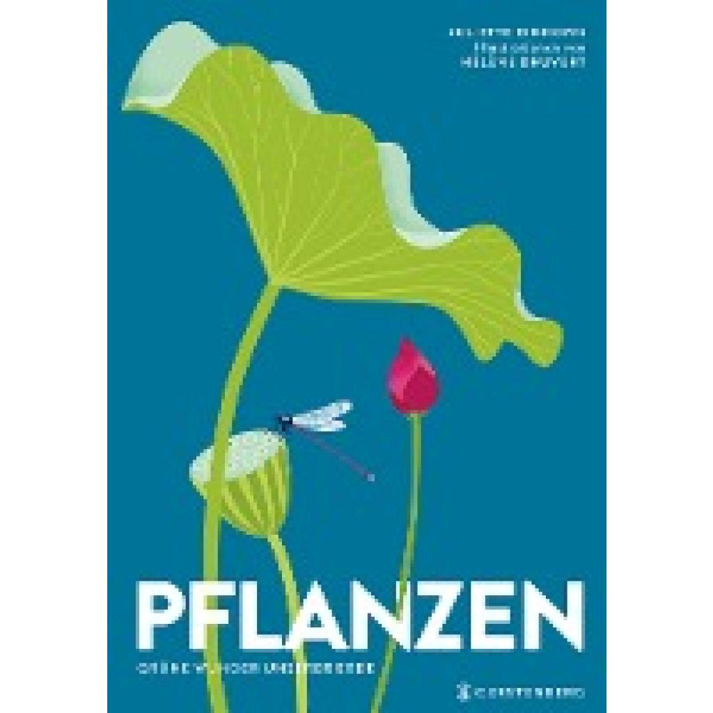 9783836962285 - Pflanzen - Hélène Druvert Gebunden