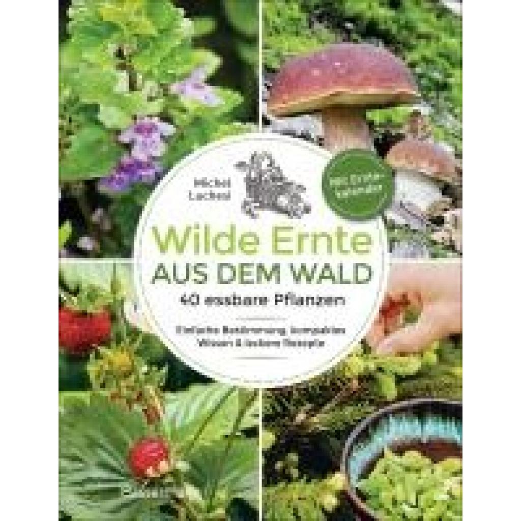 Luchesi, Michel: Wilde Ernte aus dem Wald - 40 essbare Pflanzen - einfache Bestimmung, kompaktes Wissen und leckere Reze