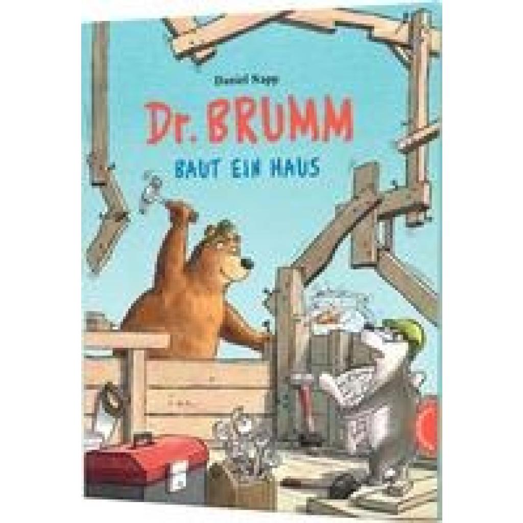 Napp, Daniel: Dr. Brumm: Dr. Brumm baut ein Haus