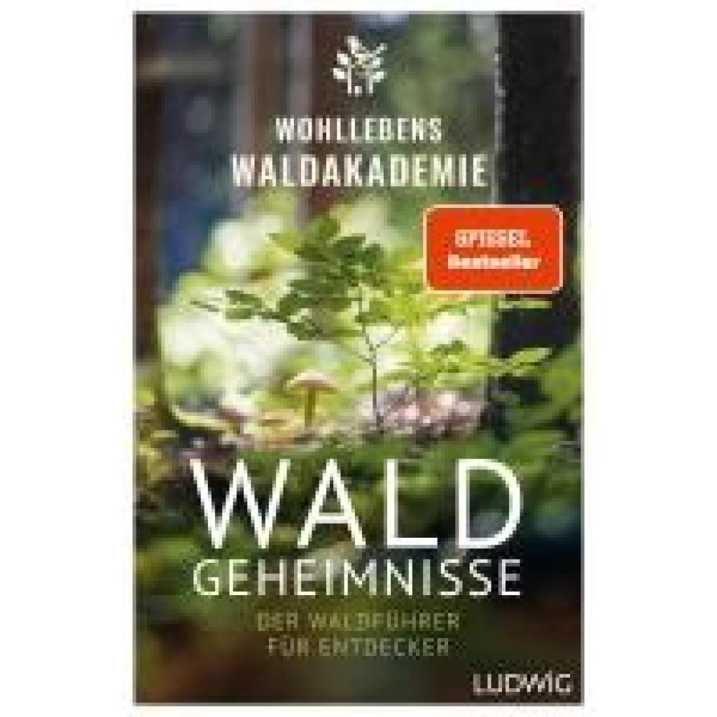 9783453281615 - Waldgeheimnisse - Wohllebens Waldakademie Kartoniert (TB)