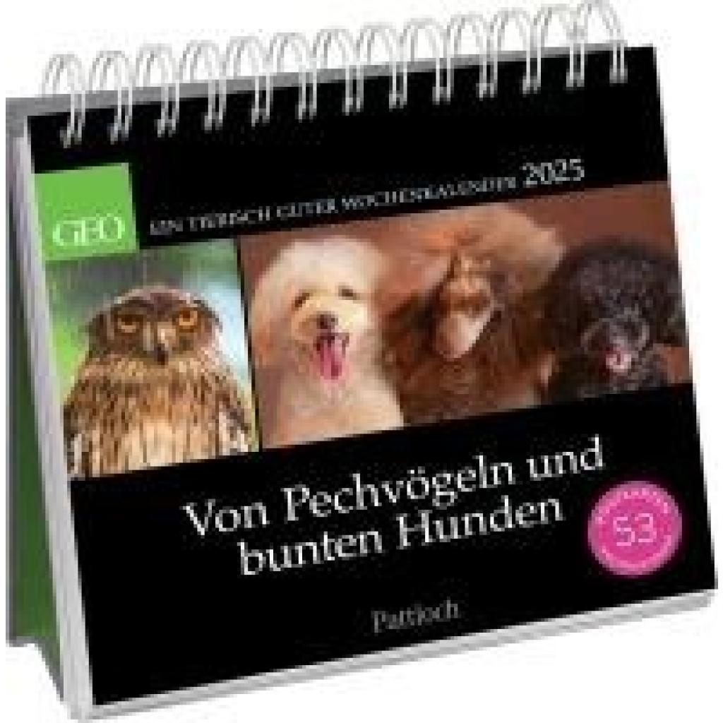 Geo: Postkartenkalender 2025: Von Pechvögeln und bunten Hunden