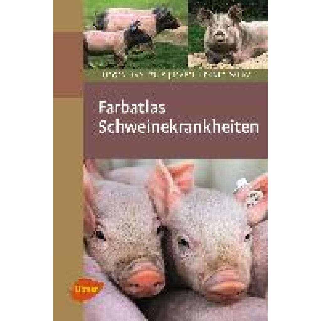 9783800157358 - Farbatlas Schweinekrankheiten - Jürgen Harlizius Isabel Hennig-Pauka Gebunden