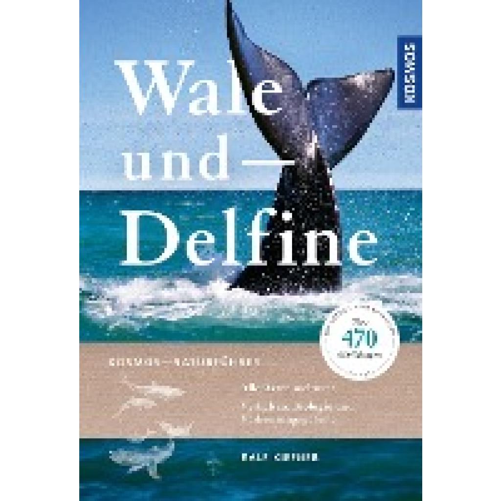 9783440163399 - Wale und Delfine - Ralf Kiefner Kartoniert (TB)