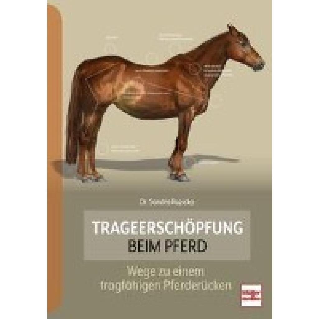 Ruzicka, Sandra: Trageerschöpfung beim Pferd