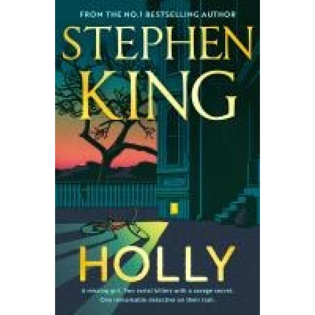 9781399712910 - Holly - Stephen King Gebunden