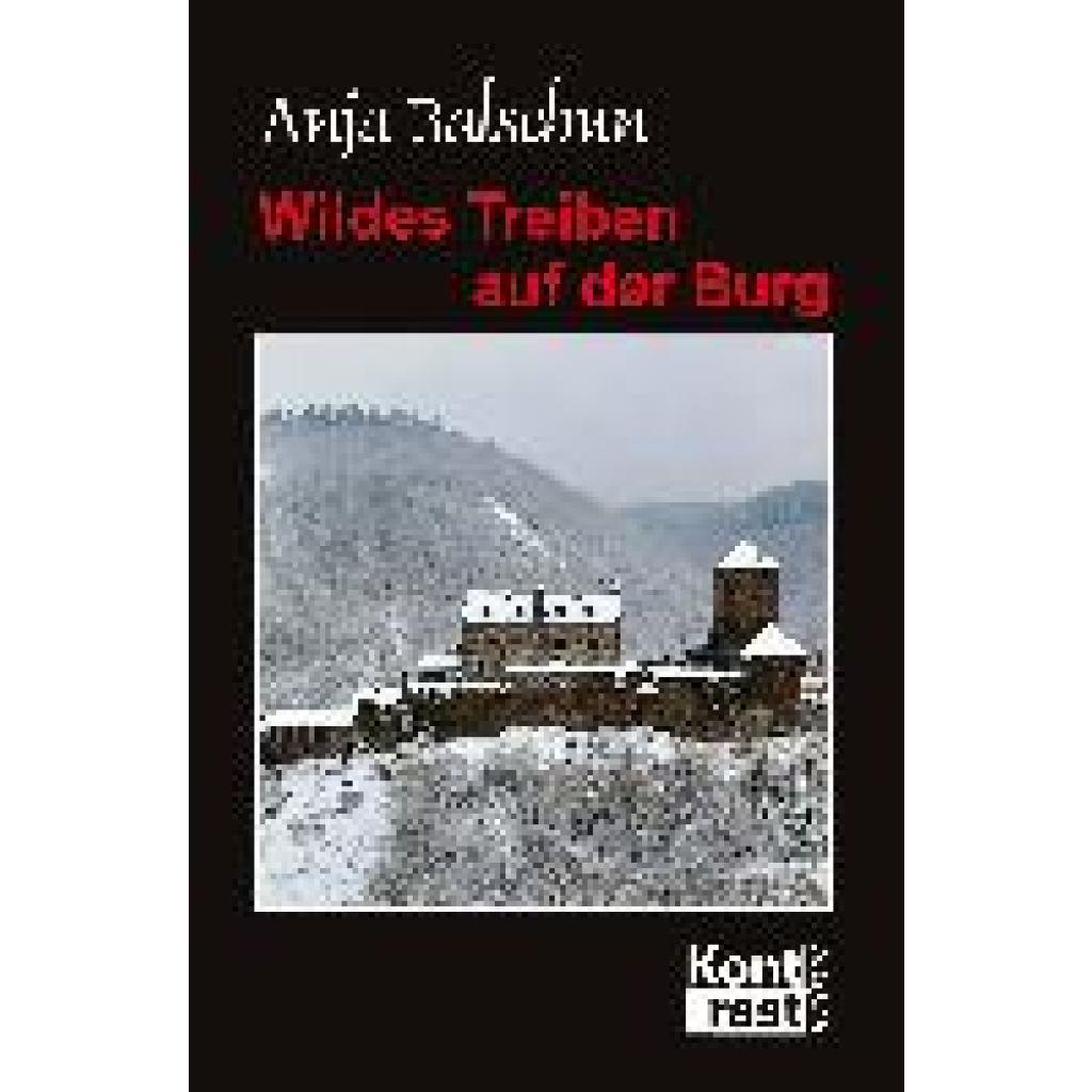 9783941200975 - Wildes Treiben auf der Burg - Anja Balschun Kartoniert (TB)